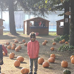 Photo n°2 de l'avis de Emanuela.e fait le 17/10/2021 à 13:07 sur le  Puravida à San Martino Siccomario