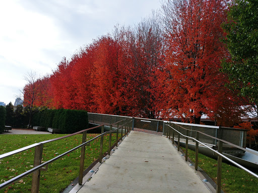 Park «Millennium Park», reviews and photos, 201 E Randolph St, Chicago, IL 60602, USA