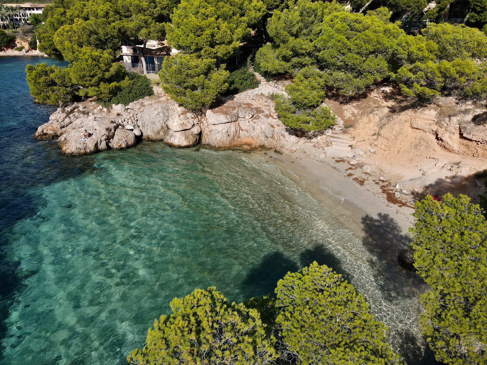 Foto di Cala Punta Negra zona selvaggia