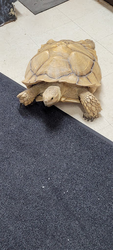 Animal House Pets LLC