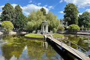 Swan Pond image
