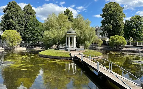 Swan Pond image