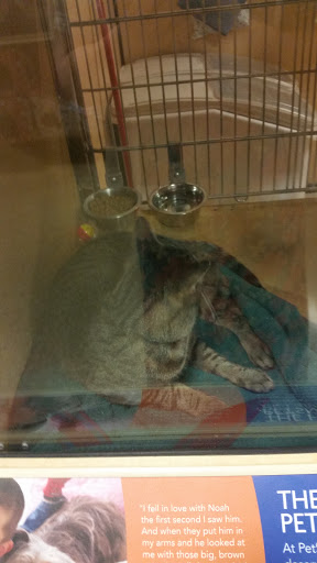 Pet Supply Store «PetSmart», reviews and photos, 2718 Legends Pkwy, Prattville, AL 36066, USA