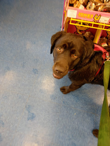 Pet Supply Store «T and T Pet Supply», reviews and photos, 1325 US-206, Skillman, NJ 08558, USA