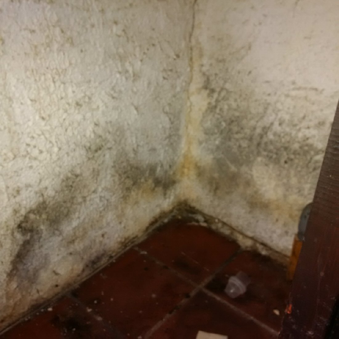 Photo n° 5 de l'avis de Angélique.e fait le 19/04/2019 à 08:27