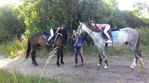 Horse Riding Club 