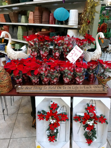 Garden Center «Laura Ann Farms», reviews and photos, 401 NY-17M, Monroe, NY 10950, USA