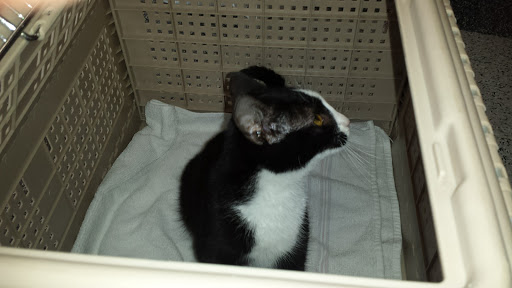 Pet Supply Store «Petco Animal Supplies», reviews and photos, 537 N Pacific Coast Hwy, Redondo Beach, CA 90277, USA