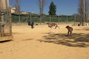 Park for Dogs image