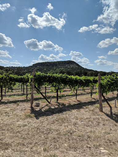 Winery «La Cruz de Comal Wines, Ltd.», reviews and photos, 7405 FM 2722, Canyon Lake, TX 78133, USA