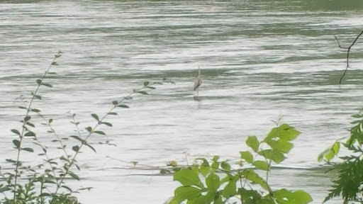 Wedding Venue «Brakefield At Riverwalk», reviews and photos, 1111 Brakefield Drive, Rock Hill, SC 29730, USA