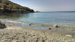 Little Zindancık'in fotoğrafı imkanlar alanı