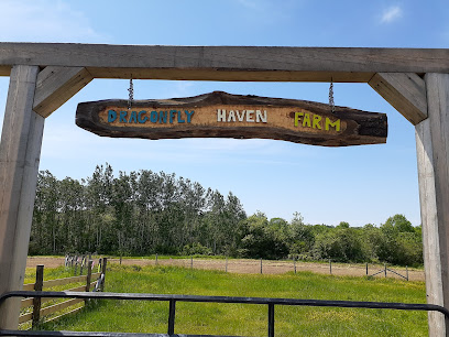 Dragonfly Haven Therapeutic Farm