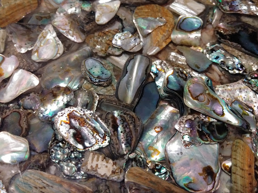 Shopping Mall «Randolph Park Shopping Center», reviews and photos, 1720 S Queen St, York, PA 17403, USA