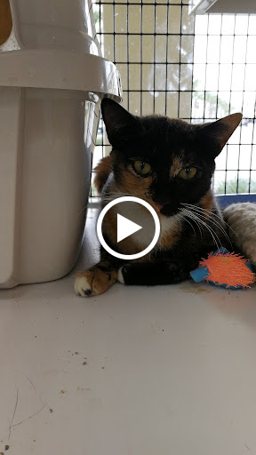 Pet Supply Store «Pet Supermarket», reviews and photos, 2585 N Atlantic Ave, Daytona Beach, FL 32118, USA