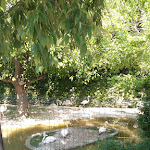 Photo n°20 de l'avis de Valentino.i fait le 04/06/2019 à 10:01 sur le  Parco Zoo Falconara Srl à Falconara Marittima