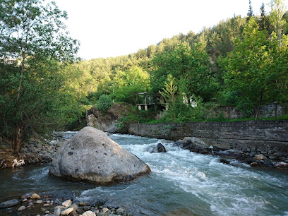 Sırapınar Restoran Şimşek Alabalık