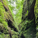 Photo n°1 de l'avis de K.K.Pusteblume. fait le 05/07/2021 à 06:41 sur le  Waldhaus Sängerwiese à Eisenach