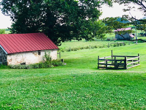 Dairy Farm «Milky Way Farm», reviews and photos, 521 E Uwchlan Ave, Chester Springs, PA 19425, USA