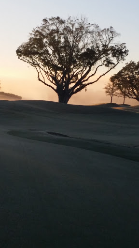 Golf Course «Riviera Golf Course», reviews and photos, 1155 Blue Rd, Coral Gables, FL 33146, USA