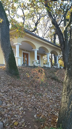 Balatonfüred, Kiserdő, 8230