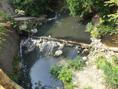 Limpieza de los ríos Texcuyuapan y Coatan