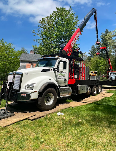 Technical Tree Service LLC - Tree Removal, Tree Pruning, Tree Cutting and Tree Trimming in Bedford, NH