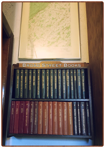 Used Book Store «Broad Street Books», reviews and photos, 1 Mill St, Branchville, NJ 07826, USA