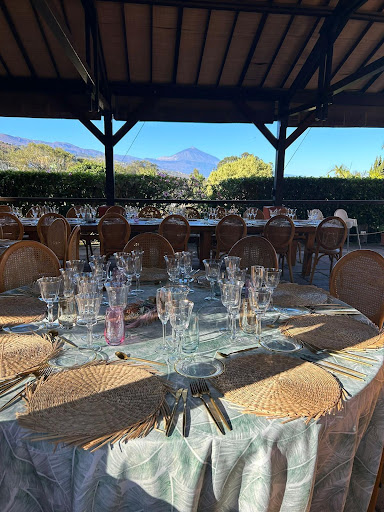 Estate Vineyards, holding events in Tenerife en Tacoronte