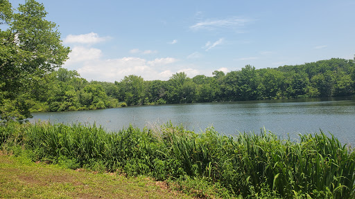 Park «Reverend Arthur Mackey Park», reviews and photos, 242 Elmwood Ave, Roosevelt, NY 11575, USA