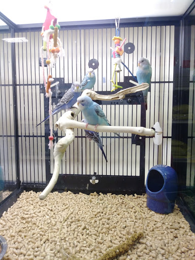 Shopping Mall «Cottman-Bustleton Center», reviews and photos, 2139 Cottman Ave, Philadelphia, PA 19149, USA