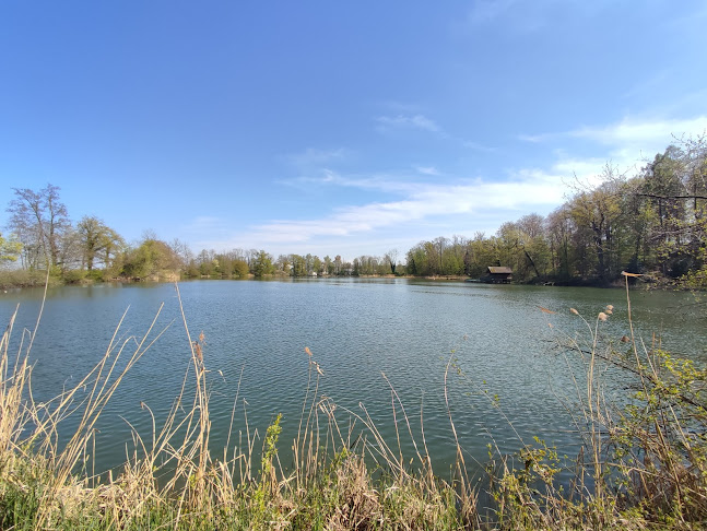 Rezensionen über Naturschutzgebiet Lengwiler Weiher in Kreuzlingen - Markt