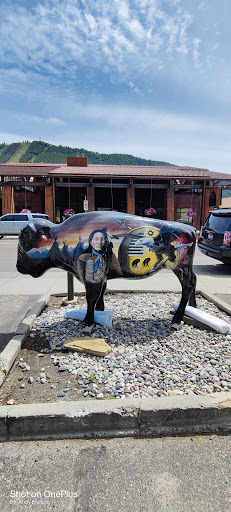 Toy Store «Jackson Hole Toy Store», reviews and photos, 165 Center St, Jackson, WY 83001, USA