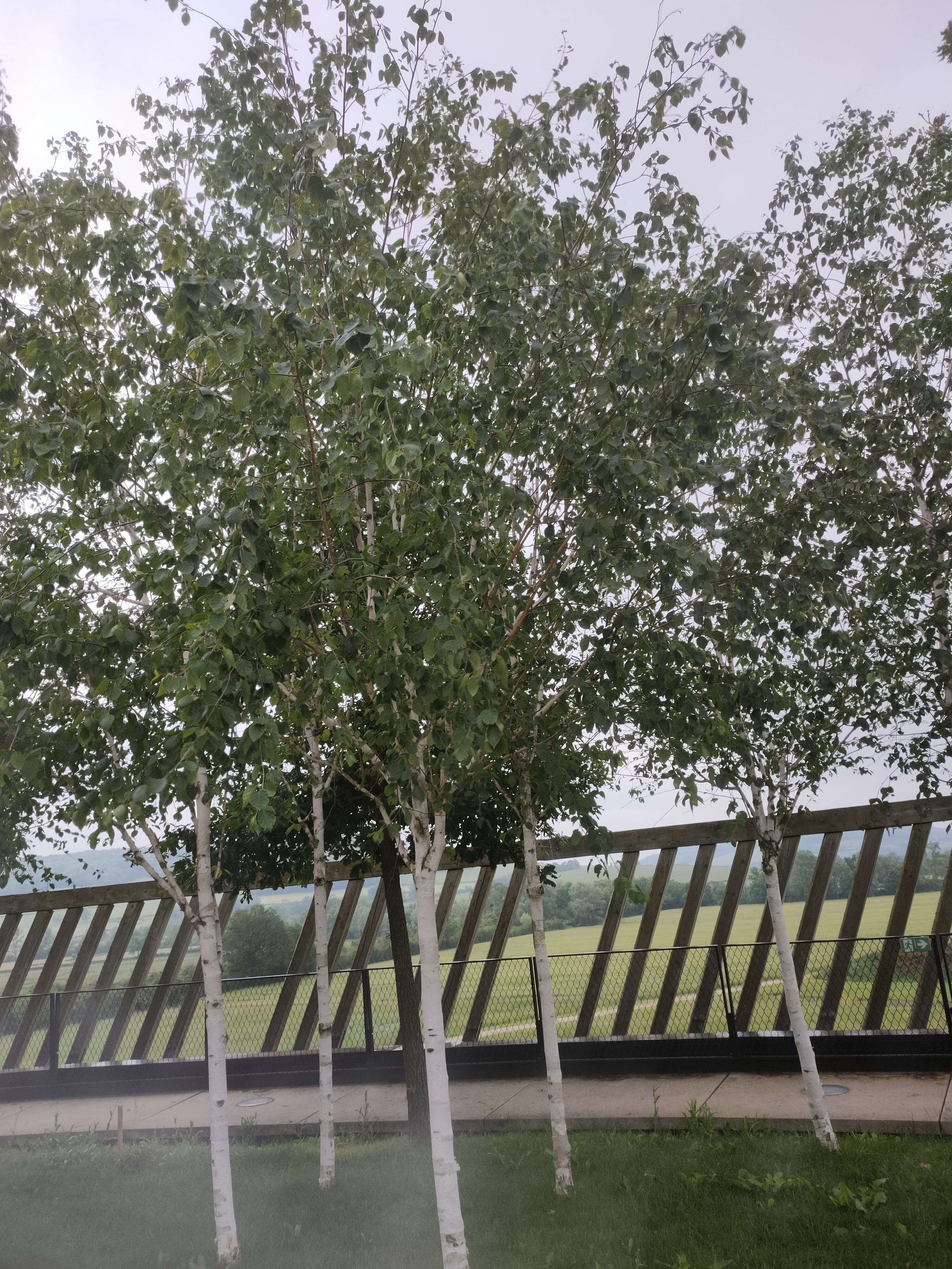 Photo n° 5 de l'avis de Nohoprima.t fait le 06/06/2021 à 18:27