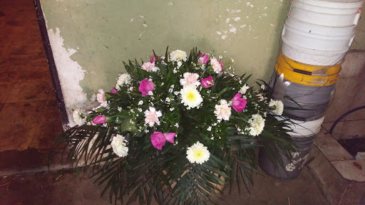 Floreria Primabera – Chihuahua