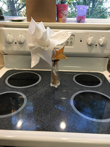 House Cleaning Service «The Maids», reviews and photos, 179 Boylston St, Jamaica Plain, MA 02130, USA