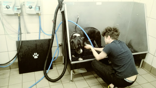 Pet Supply Store «Pet Supplies Plus», reviews and photos, 9 Waukegan Rd, Deerfield, IL 60015, USA