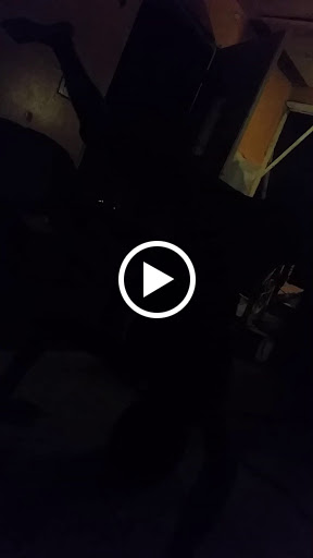 Liquor Store «Mayfair Liquor Store», reviews and photos, 1444 N Broad St, Hillside, NJ 07205, USA