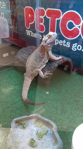 Pet Supply Store «Petco Animal Supplies», reviews and photos, 975 NW Gilman Blvd E, Issaquah, WA 98027, USA