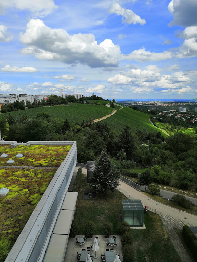 Panoramaterrasse RBK Stuttgart