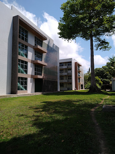 Departamento universitário Manaus