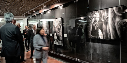 Magasin d'encadrement Le Cadre Blanc Croissy