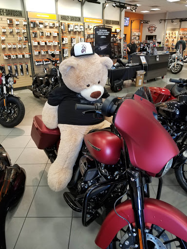 Harley-Davidson Dealer «Harley-Davidson of Tampa», reviews and photos, 6920 N Dale Mabry Hwy, Tampa, FL 33614, USA