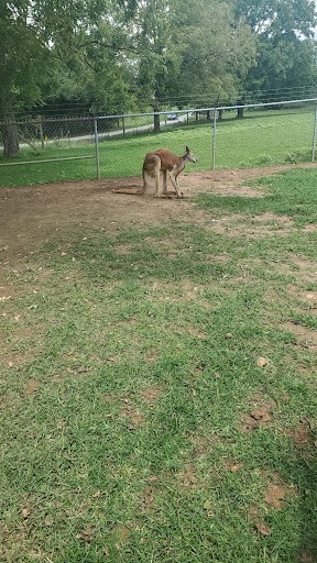 Zoo «Kentucky Down Under Adventure Zoo», reviews and photos, 3700 L and N Turnpike Rd, Horse Cave, KY 42749, USA