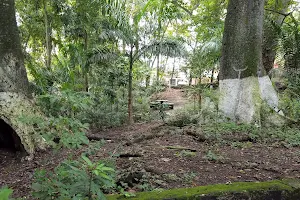 Colinas Ecological Park image