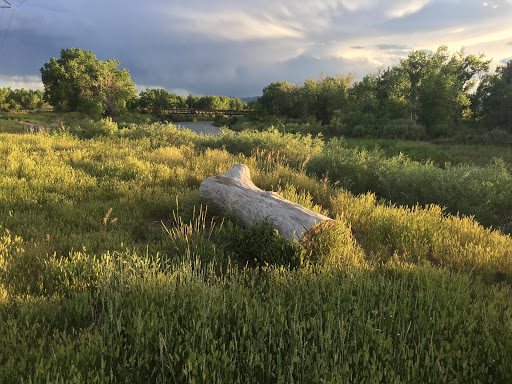 Park «South Platte Park and Carson Nature Center», reviews and photos, 3000 W Carson Dr, Littleton, CO 80120, USA