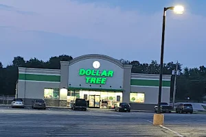 Dollar Tree image