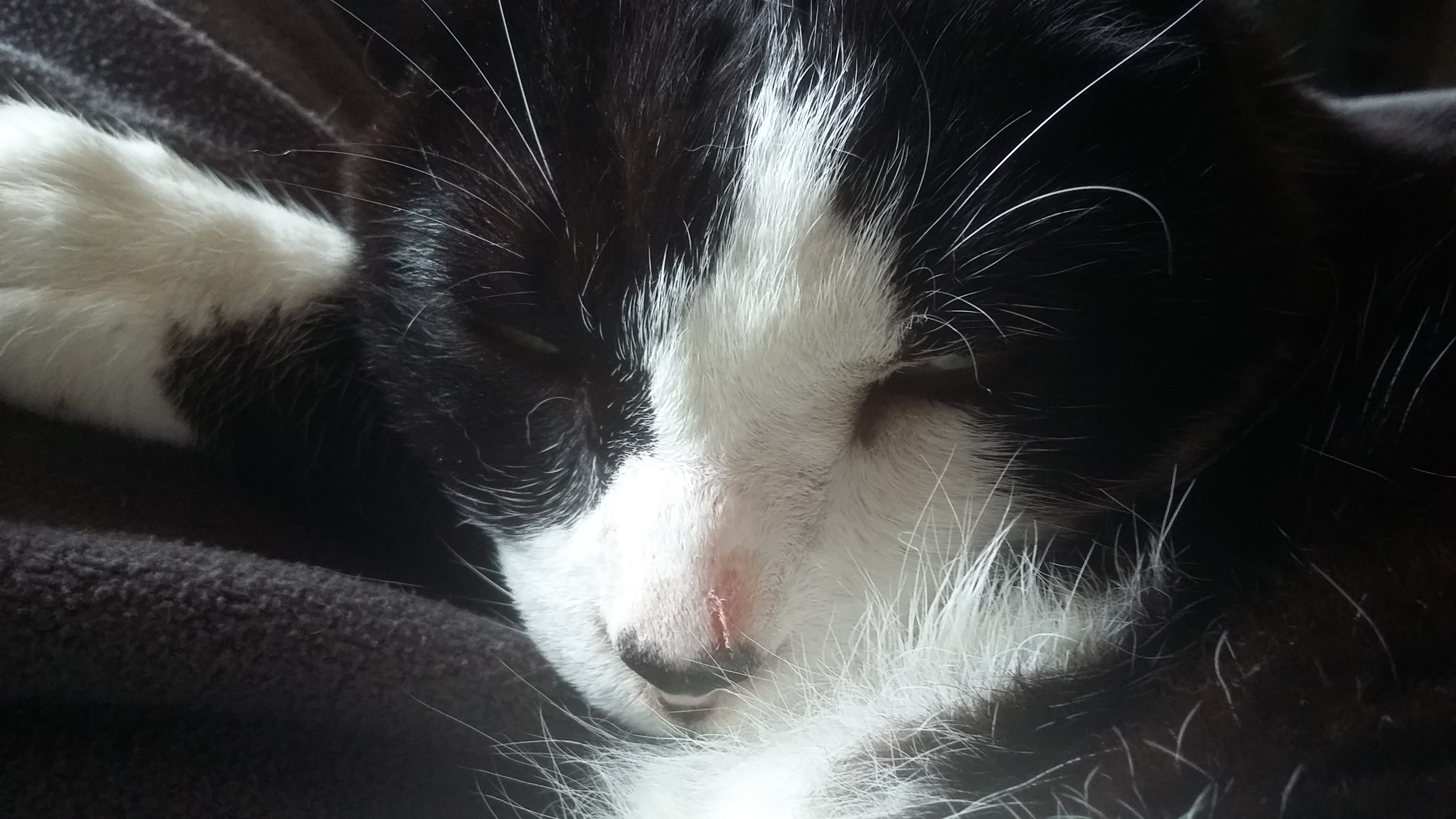Photo n° 1 de l'avis de Béatrice.a fait le 22/05/2019 à 12:36