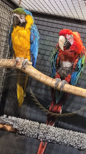 Zoo «Lake Superior Zoo», reviews and photos, 7210 Fremont St, Duluth, MN 55807, USA