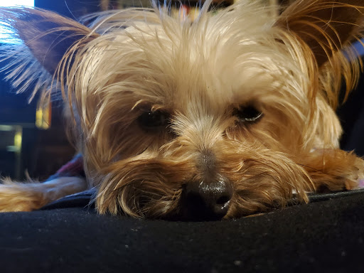 4005 Acme Dr, Fairfield, OH 45014, USA